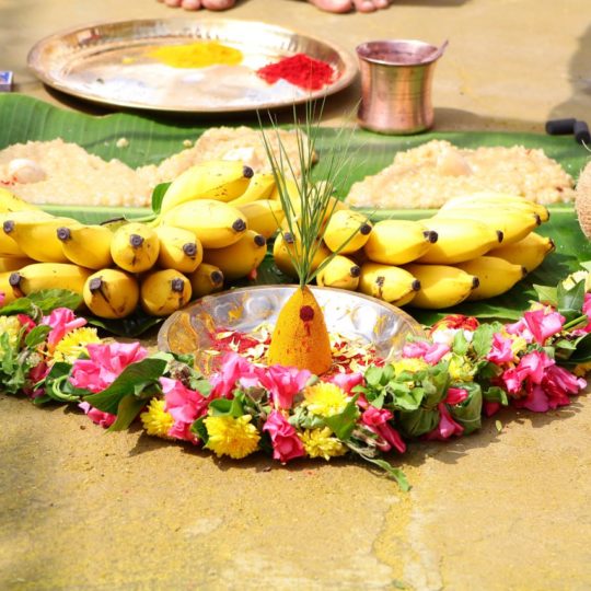 Pongal vibe
