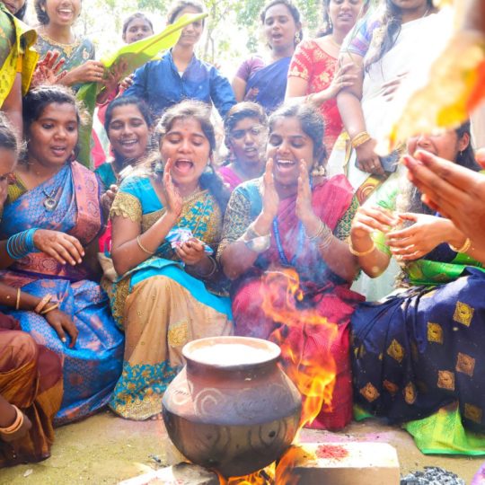 Pongal vibe